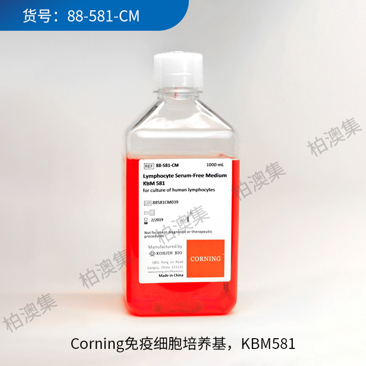 KBM581, serum-free m...